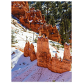 Bryce Canyon, Utah. Print only. Frame not included.