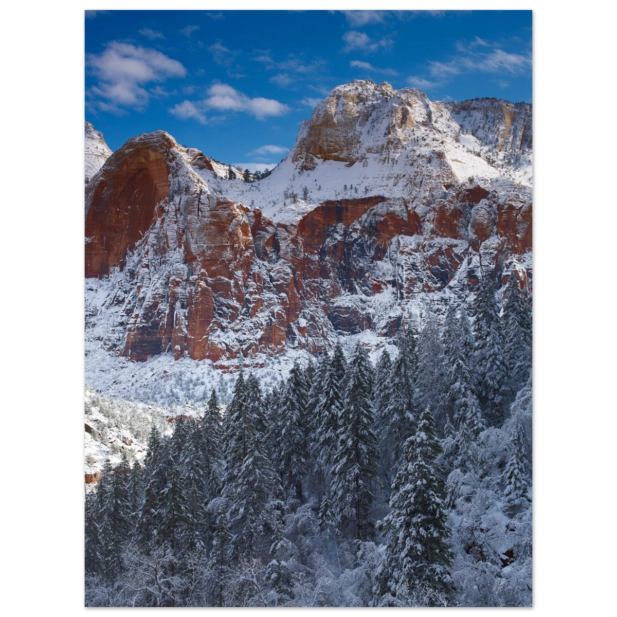 Zion in Snow, Zion National Park, Utah. Print only. Frame not included.