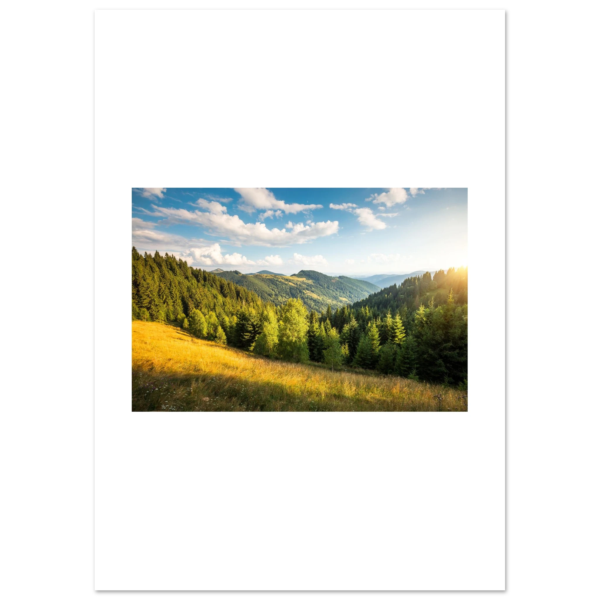 bc78e491-9c96-4e93-8e88-2c194cebd1af