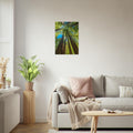 Muir Woods, California print, unframed, on a white living-room wall. Print only. Frame not included.